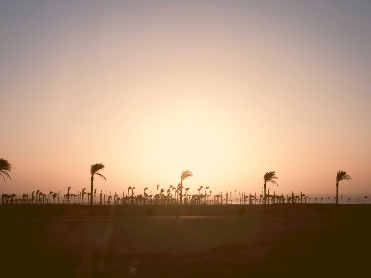 Highlife Heritage Night — Brisbane