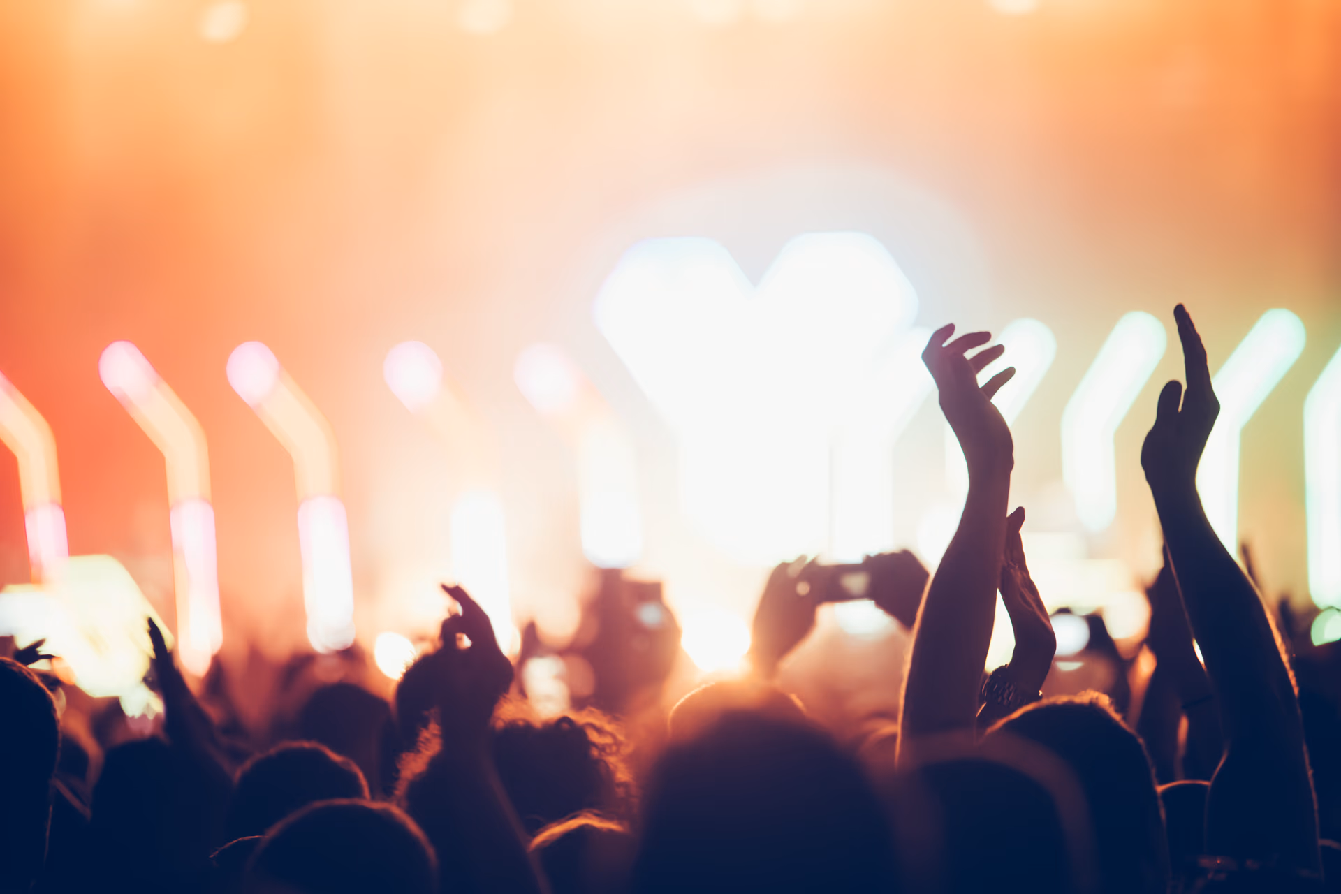 A full crowd singing along at a live event